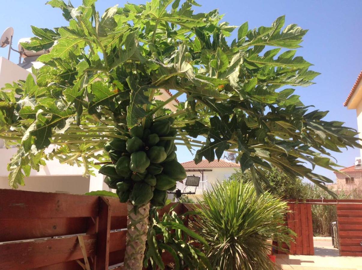 Carolyn Villa Is A Luxury 4-Bedroom Villa With Private Pool In Ayia Napa Exteriér fotografie